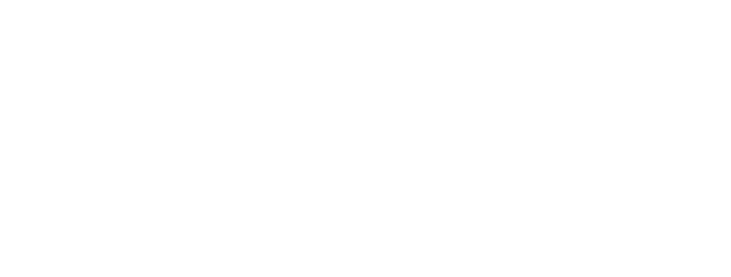 Stefani Piana & Partners